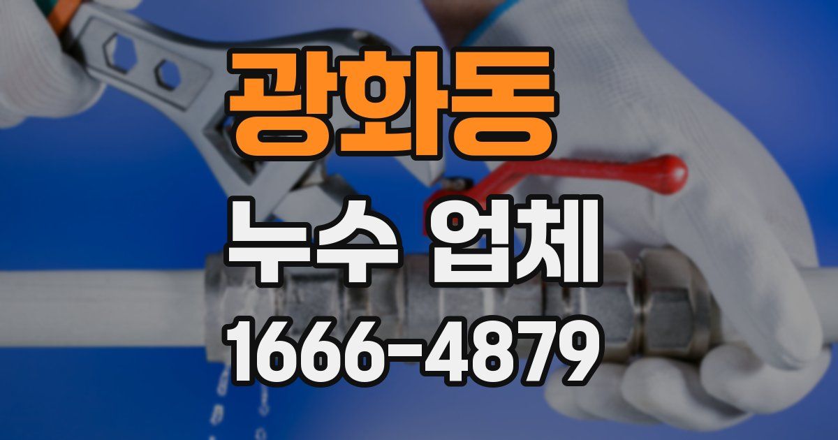 광화동 누수 업체