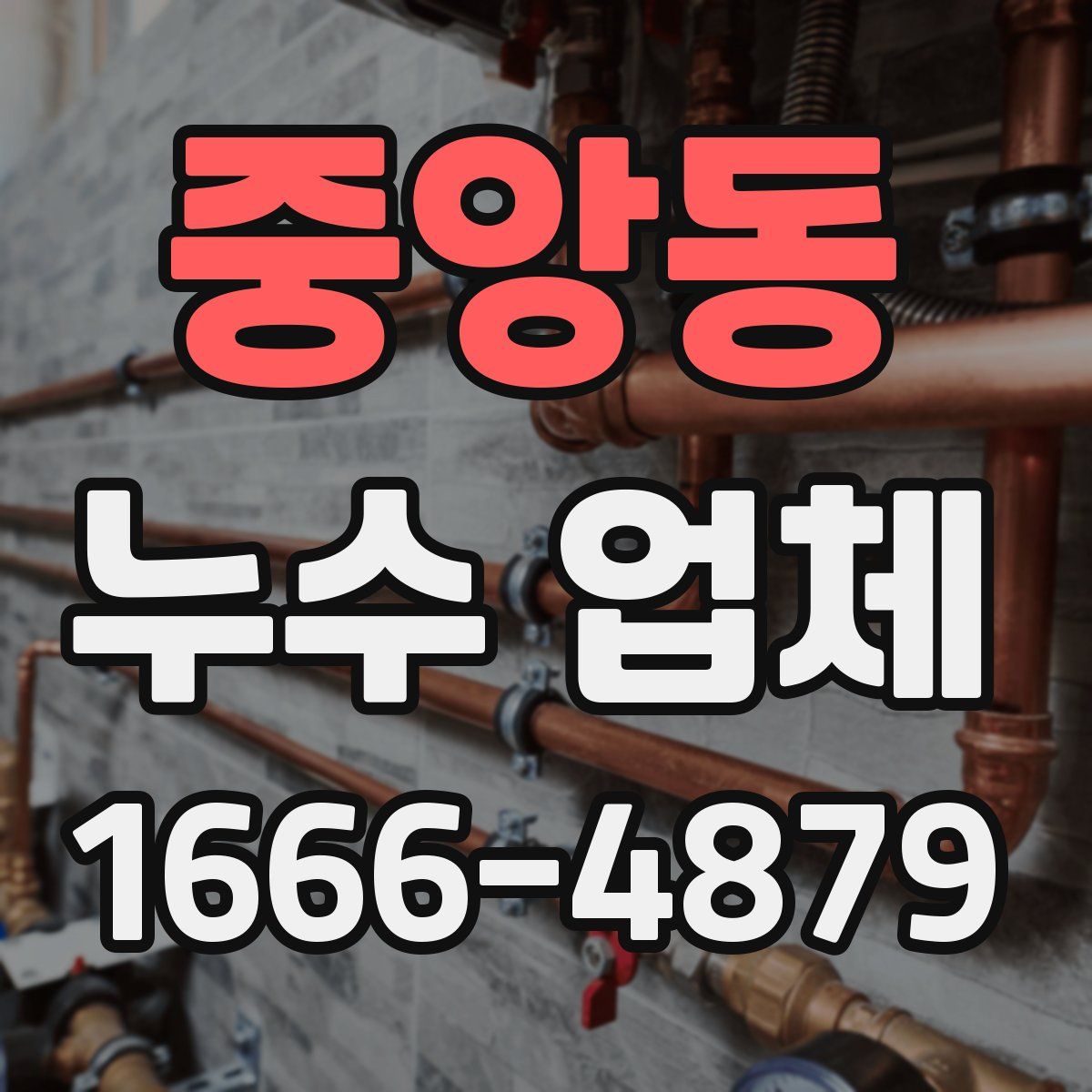 중앙동 누수 업체