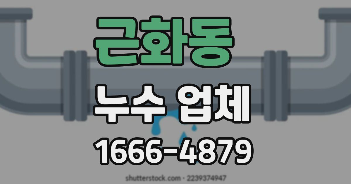 근화동 누수 업체