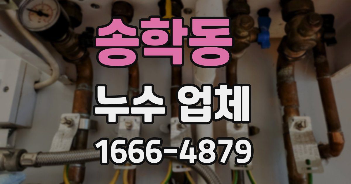 송학동 누수 업체