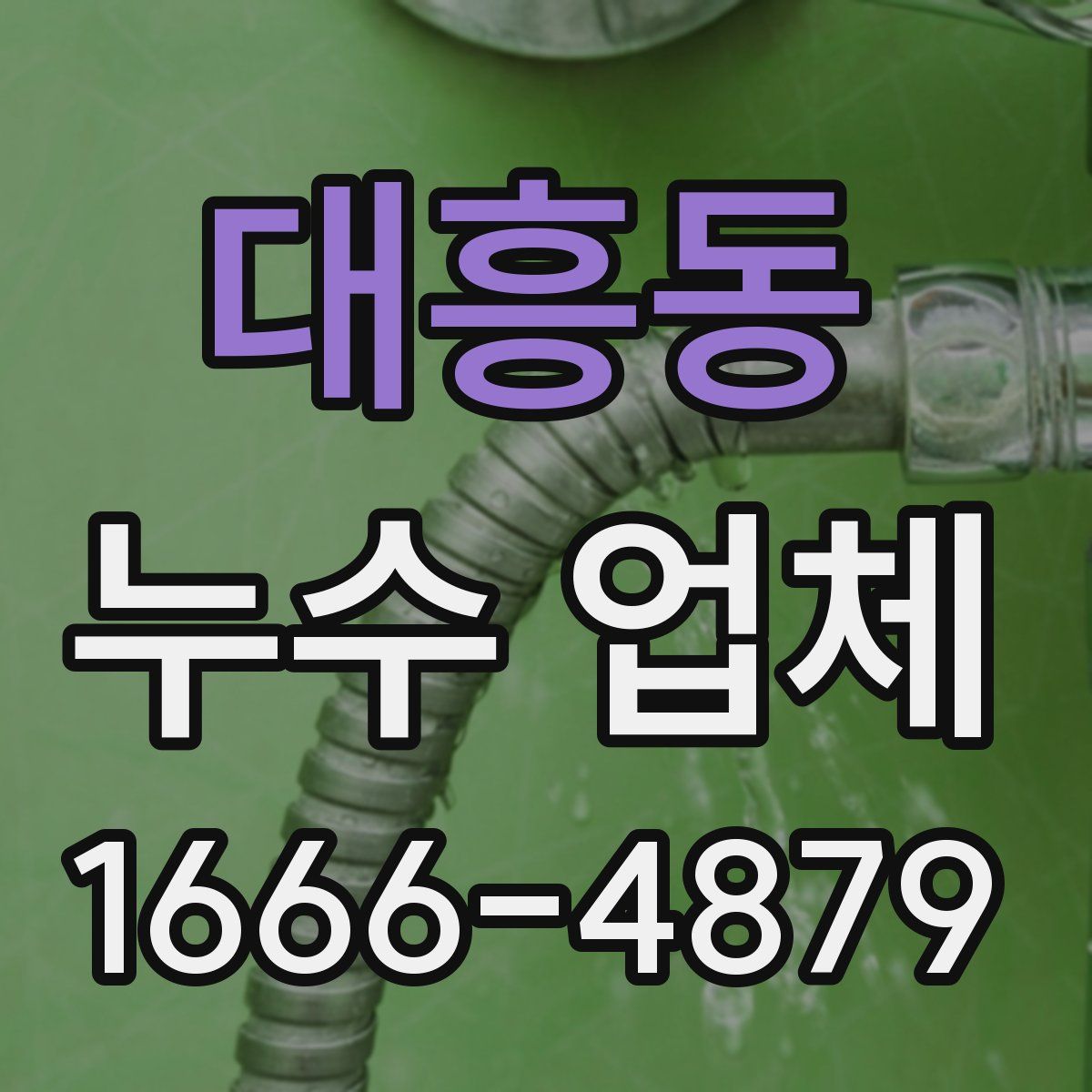 대흥동 누수 업체