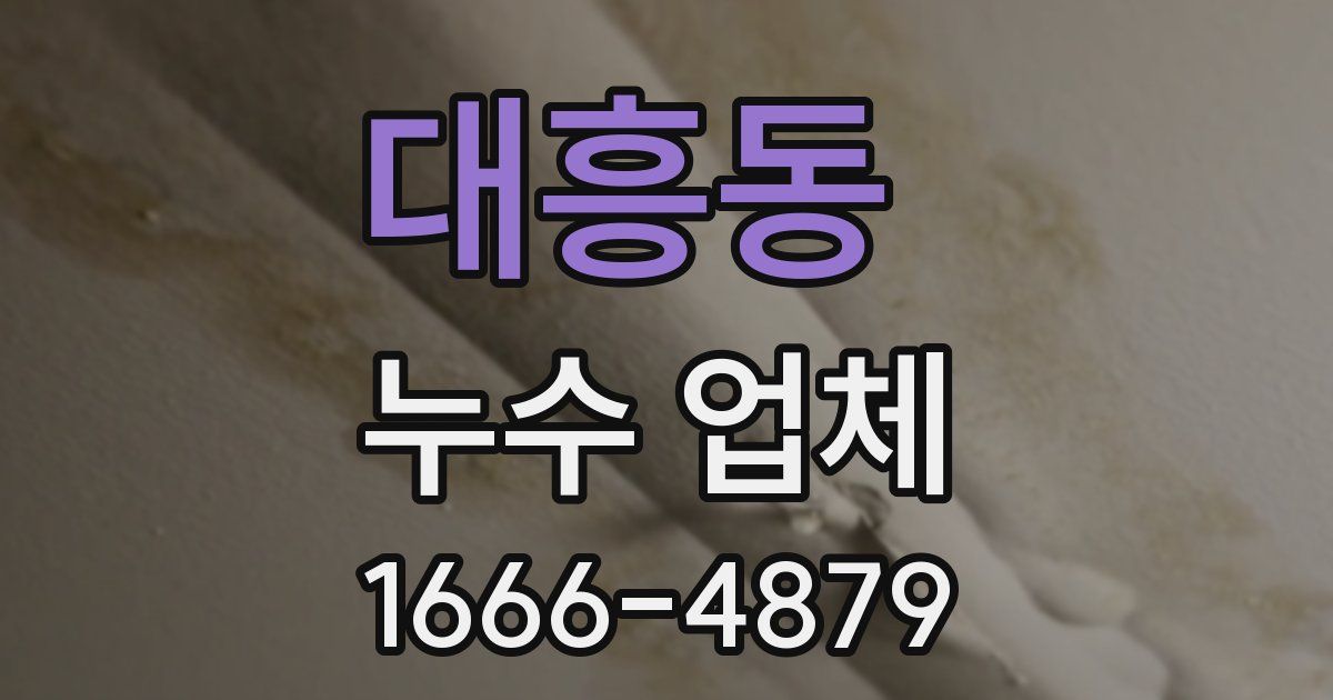대흥동 누수 업체