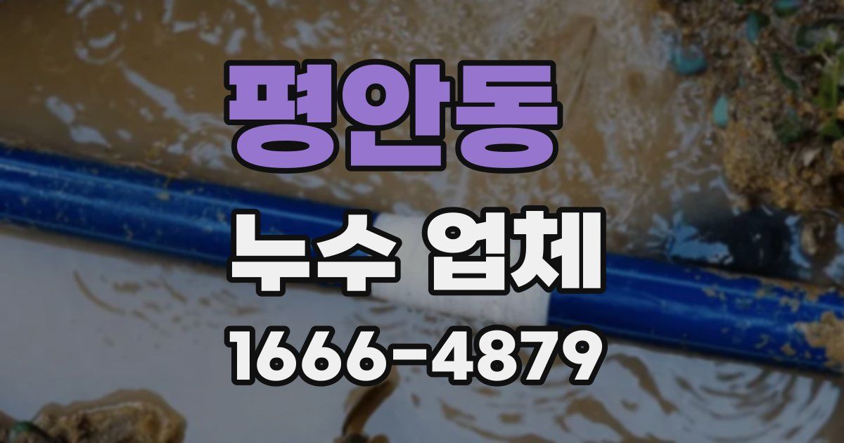 평안동 누수 업체