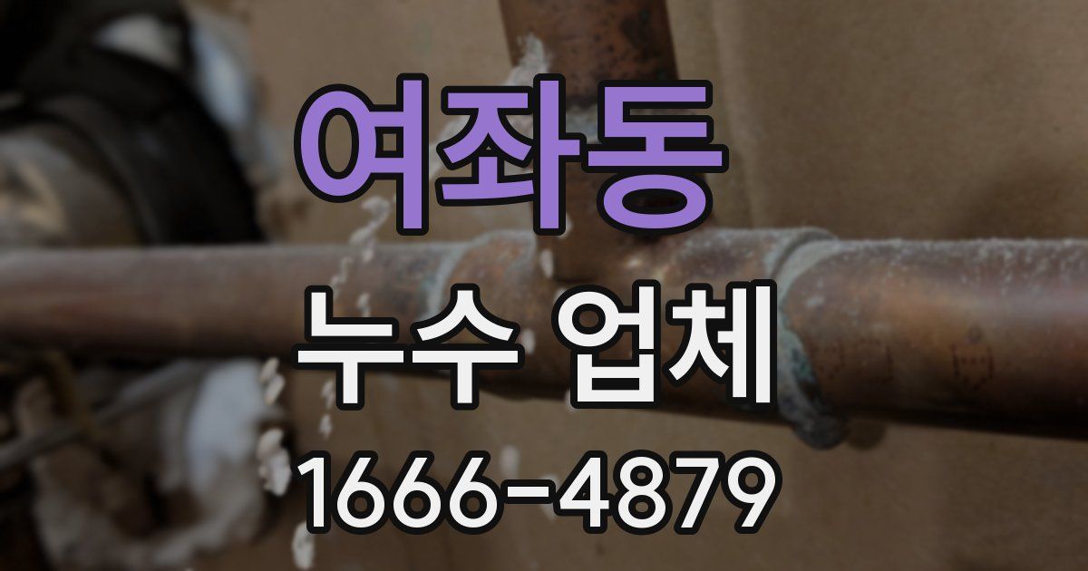 여좌동 누수 업체