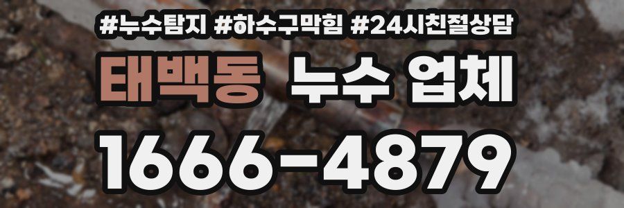 태백동 누수 업체