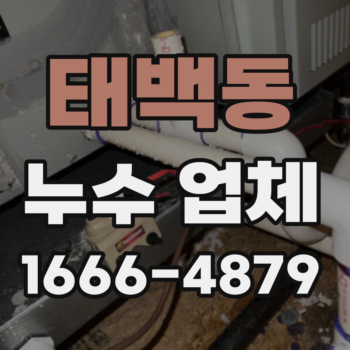 태백동 누수 업체