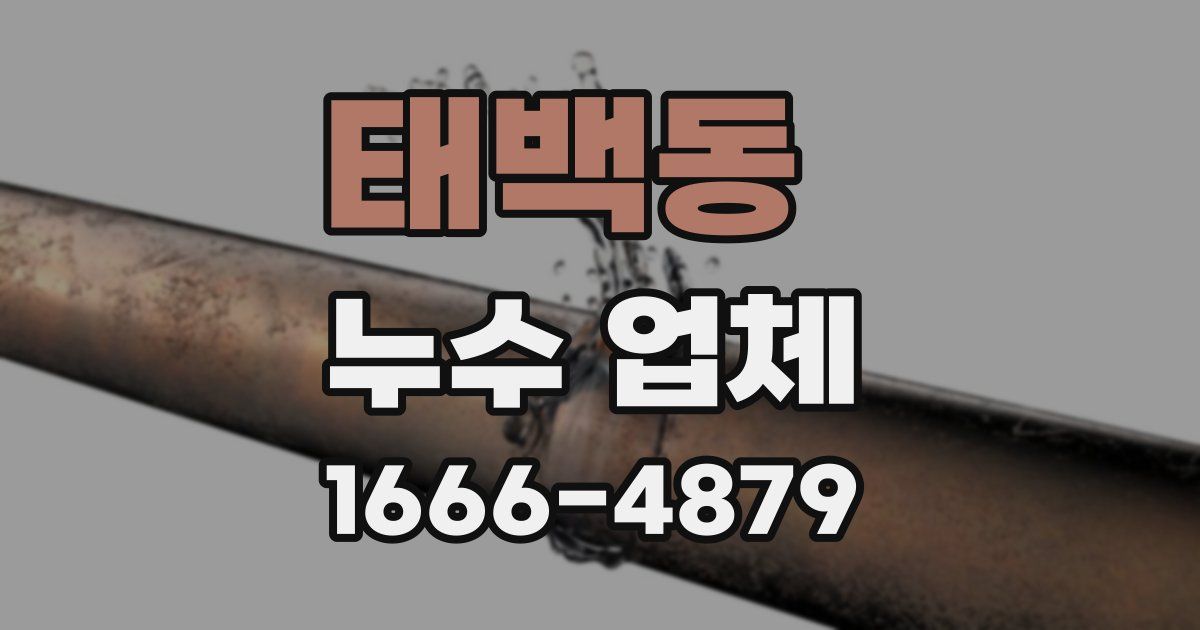 태백동 누수 업체