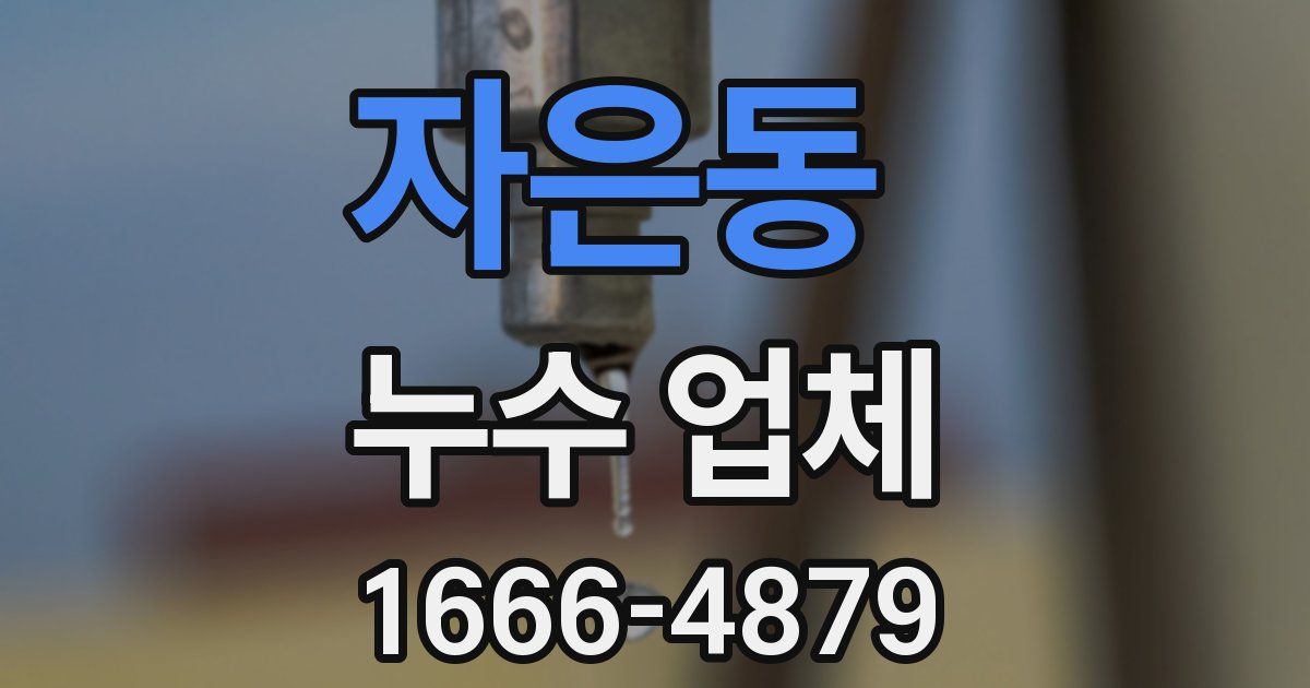 자은동 누수 업체