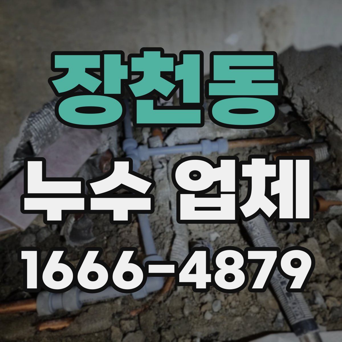 장천동 누수 업체