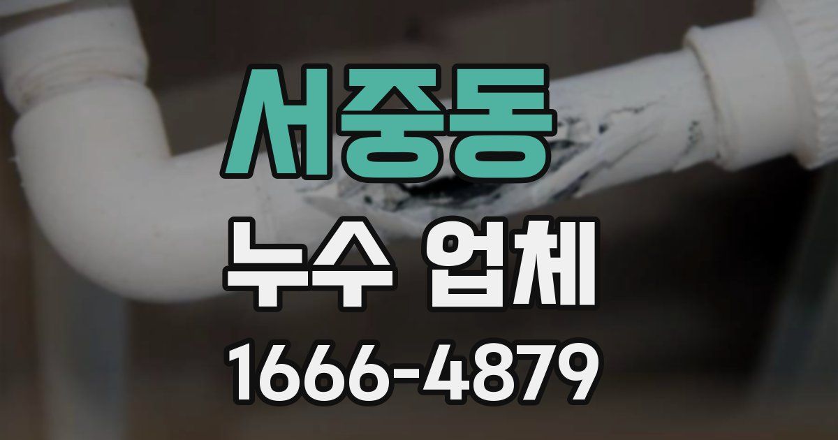 서중동 누수 업체
