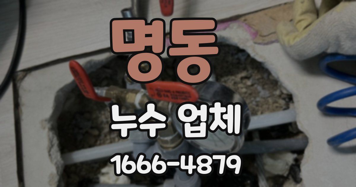 명동 누수 업체