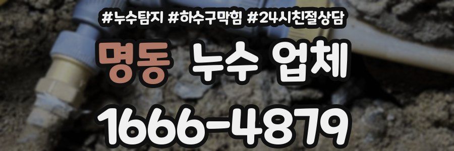 명동 누수 업체