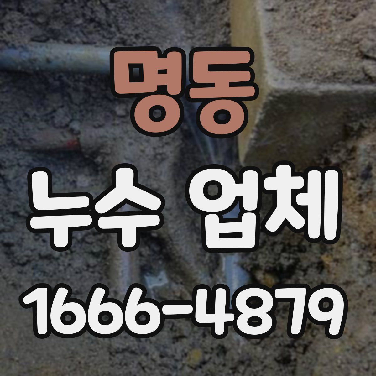 명동 누수 업체