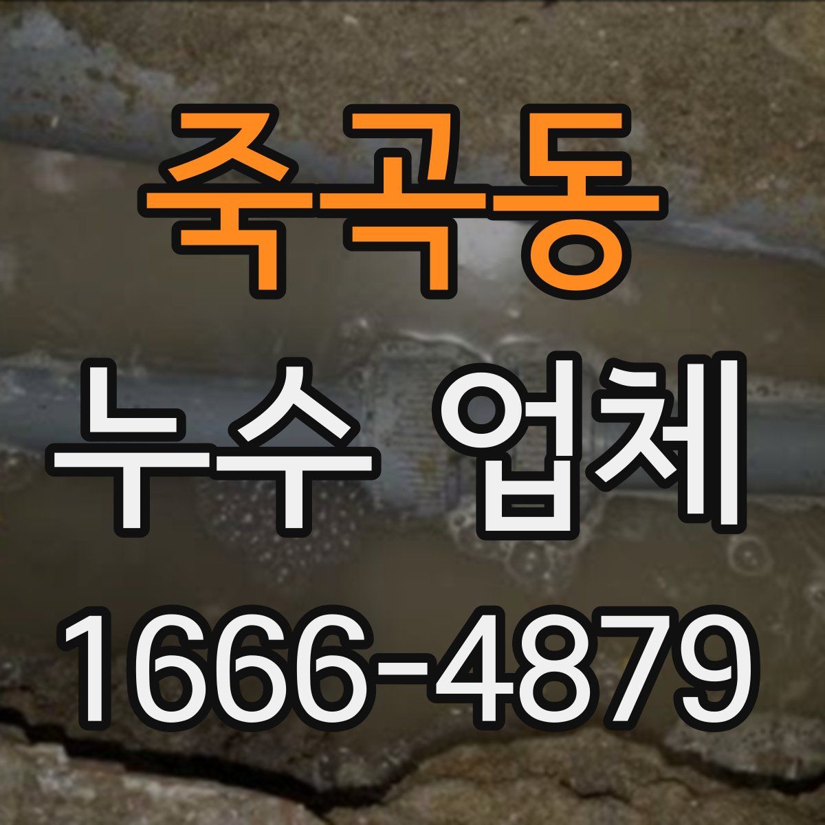 죽곡동 누수 업체