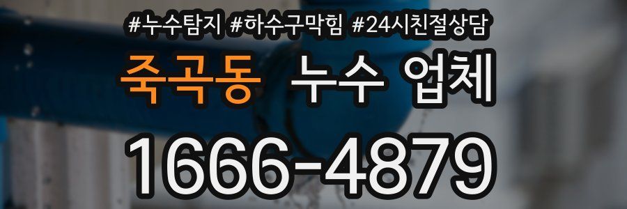 죽곡동 누수 업체
