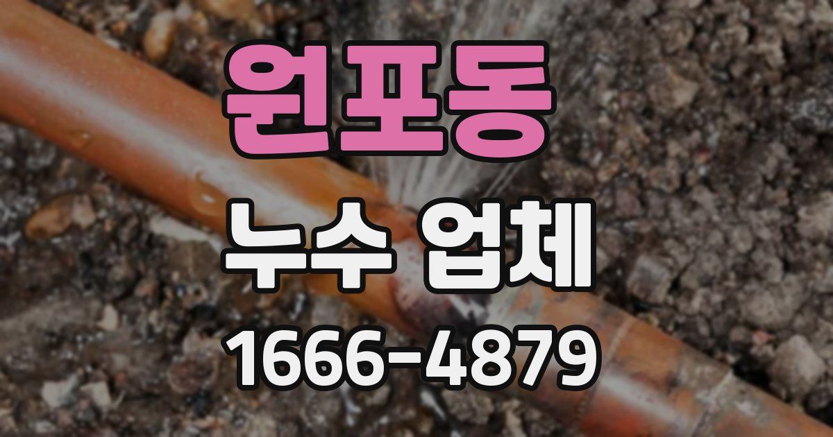 원포동 누수 업체