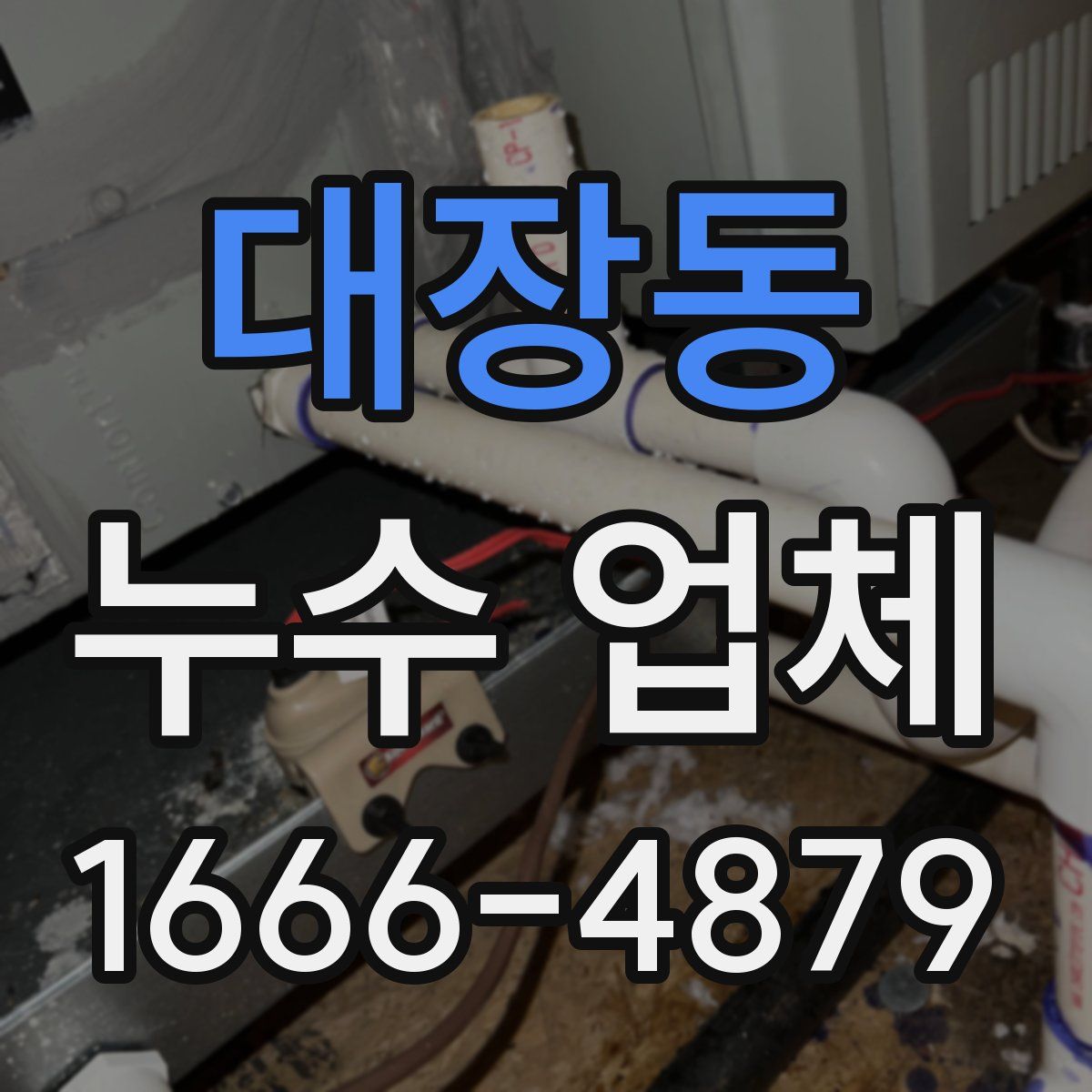 대장동 누수 업체