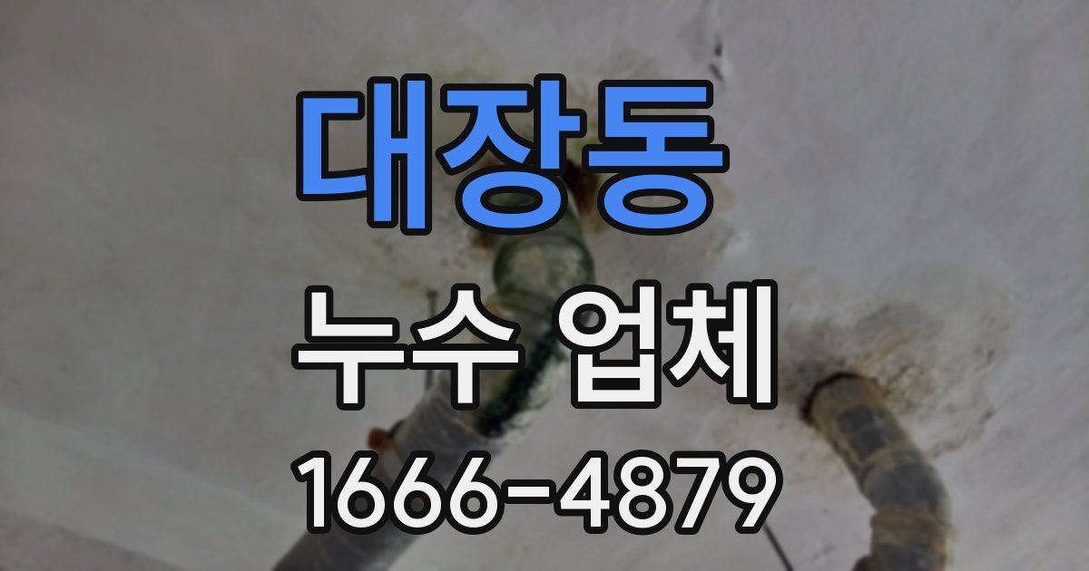 대장동 누수 업체