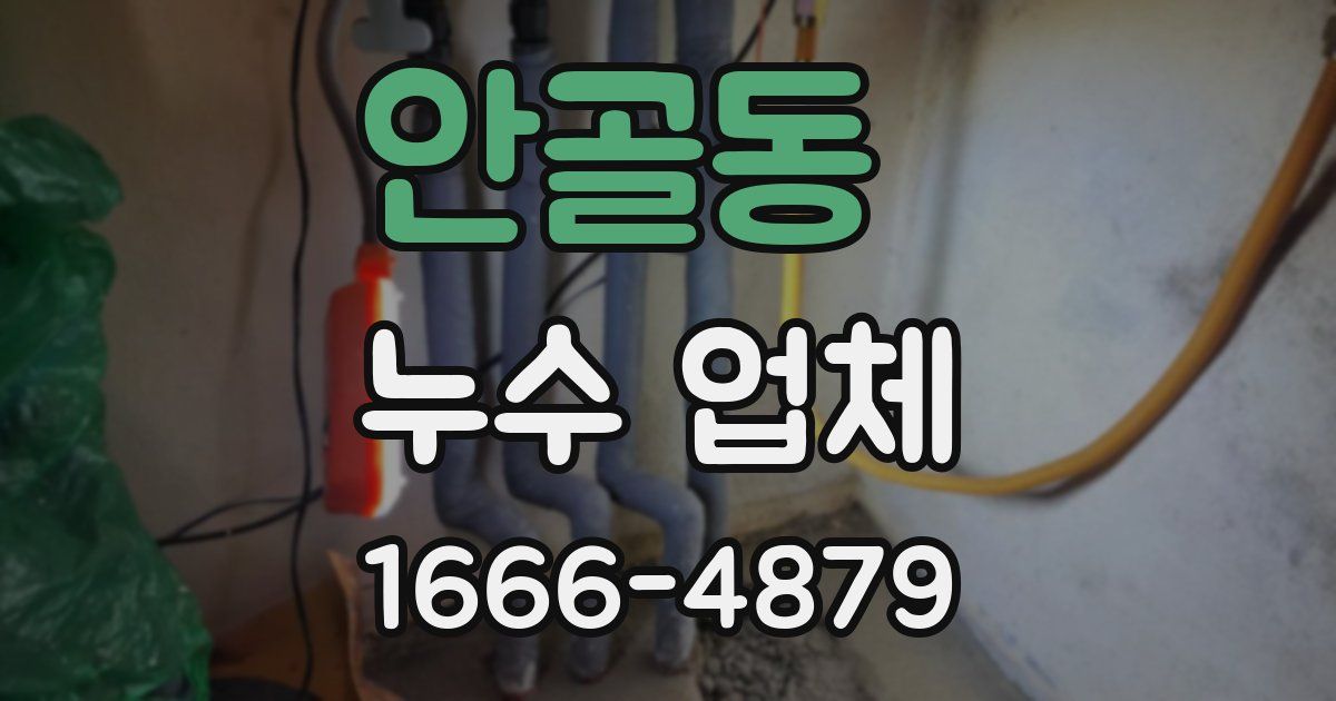 안골동 누수 업체