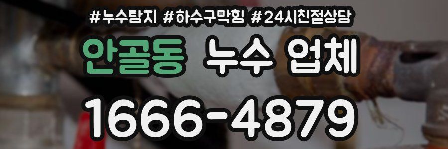 안골동 누수 업체