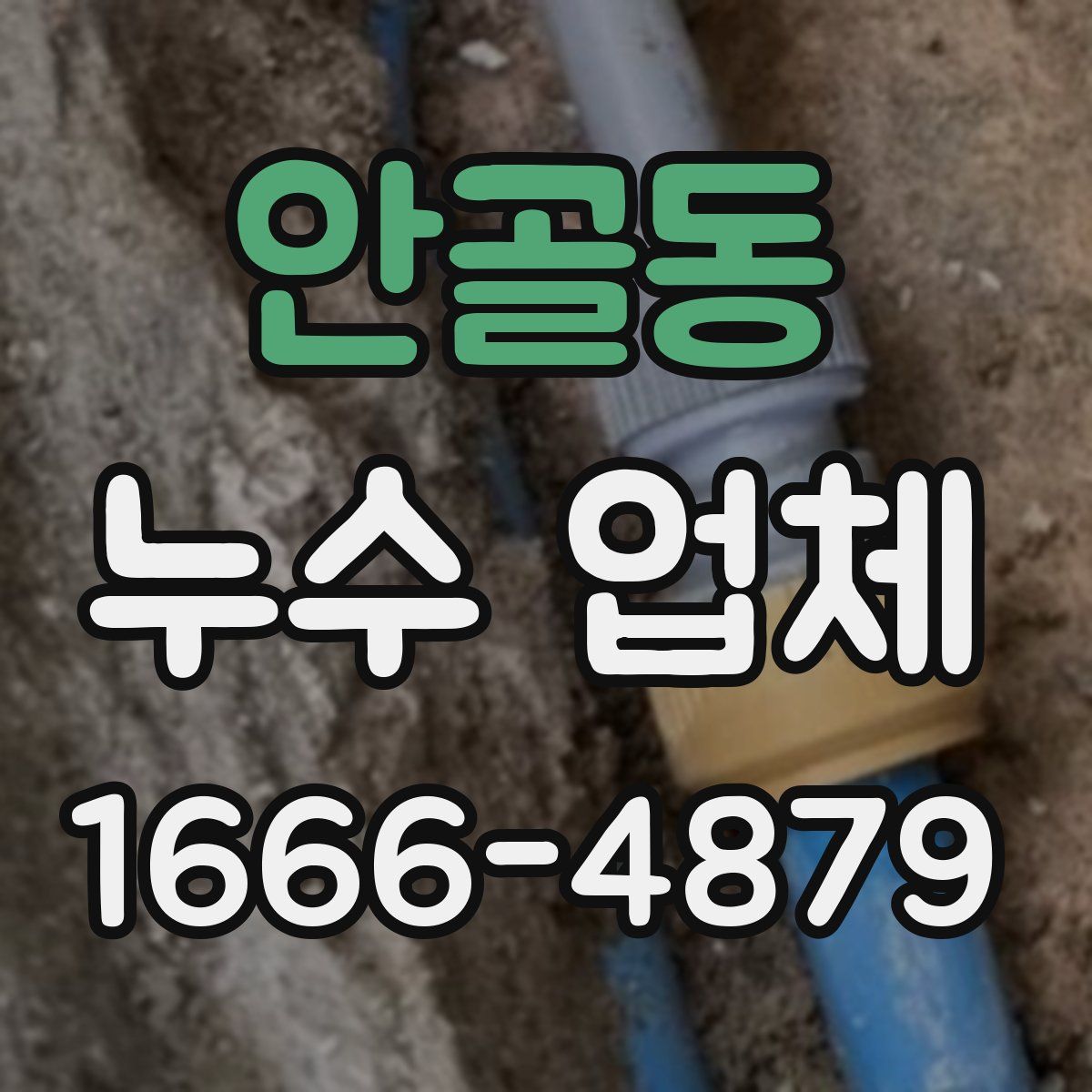 안골동 누수 업체