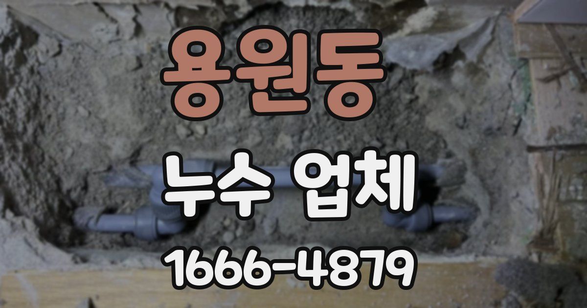 용원동 누수 업체