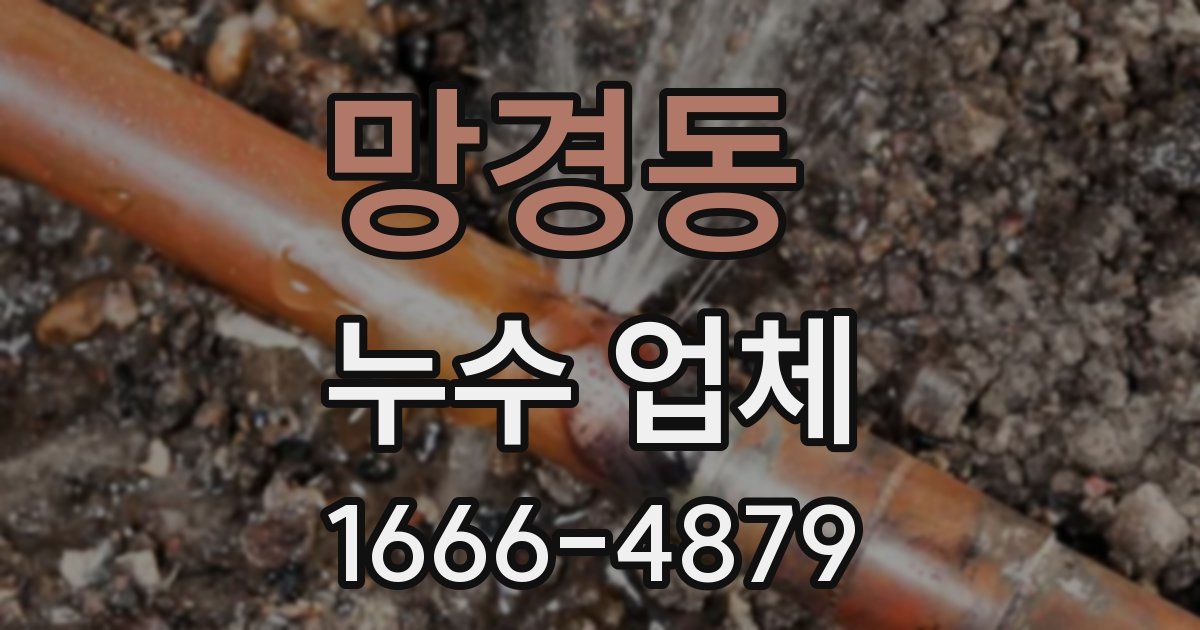 망경동 누수 업체