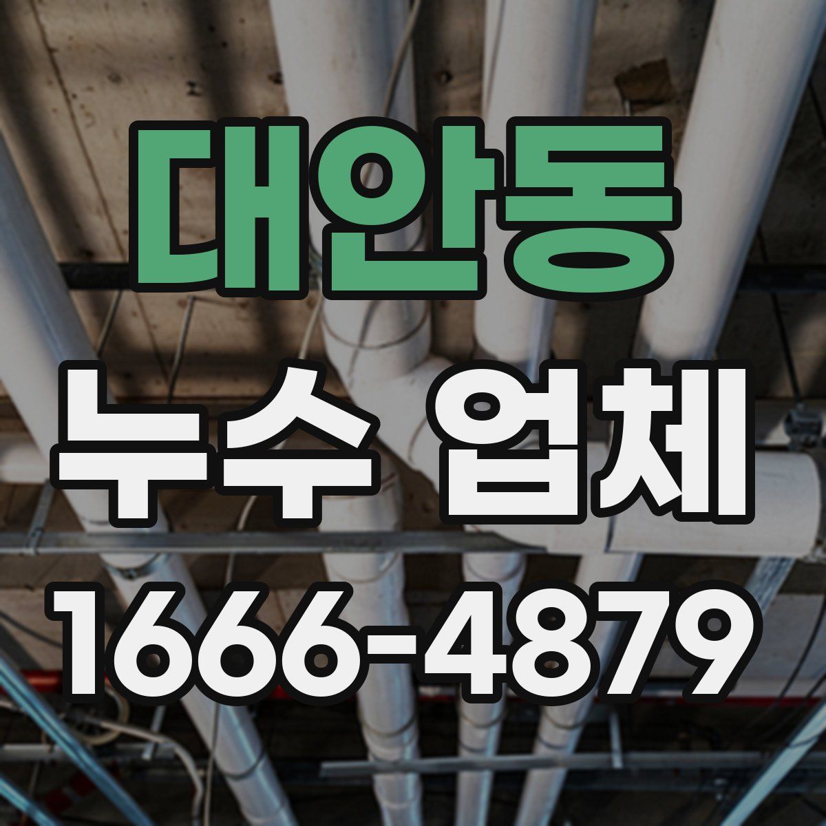 대안동 누수 업체
