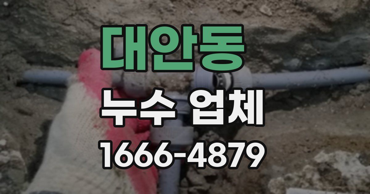 대안동 누수 업체
