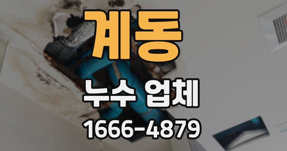 계동 누수 업체