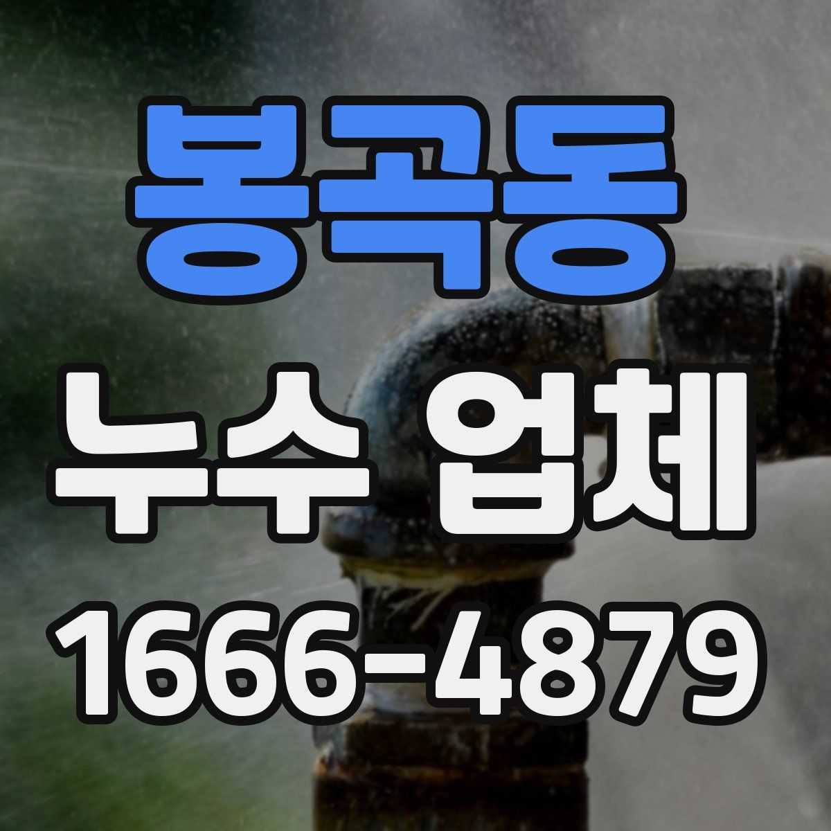 봉곡동 누수 업체