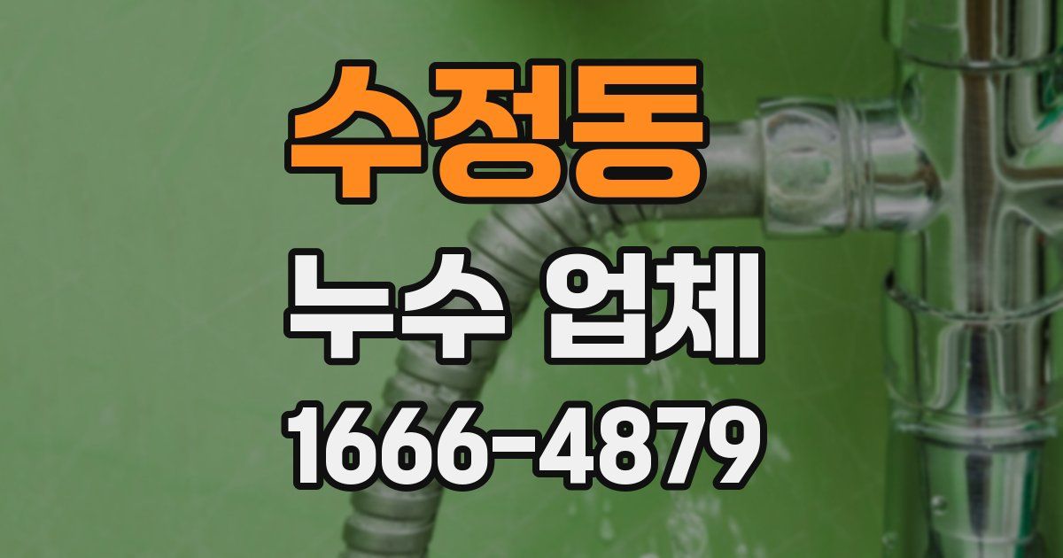 수정동 누수 업체