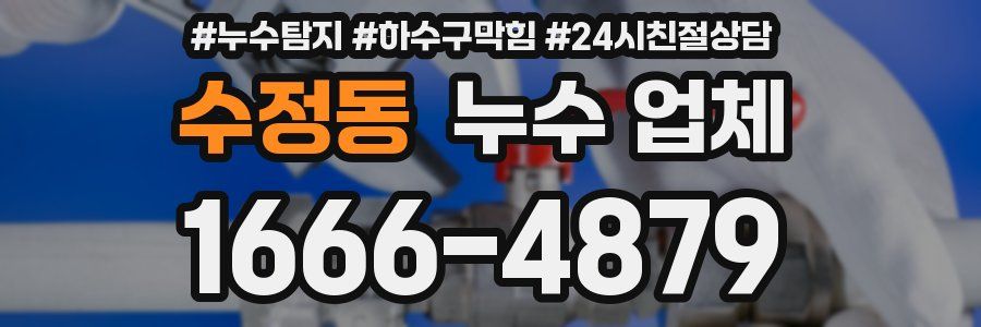 수정동 누수 업체