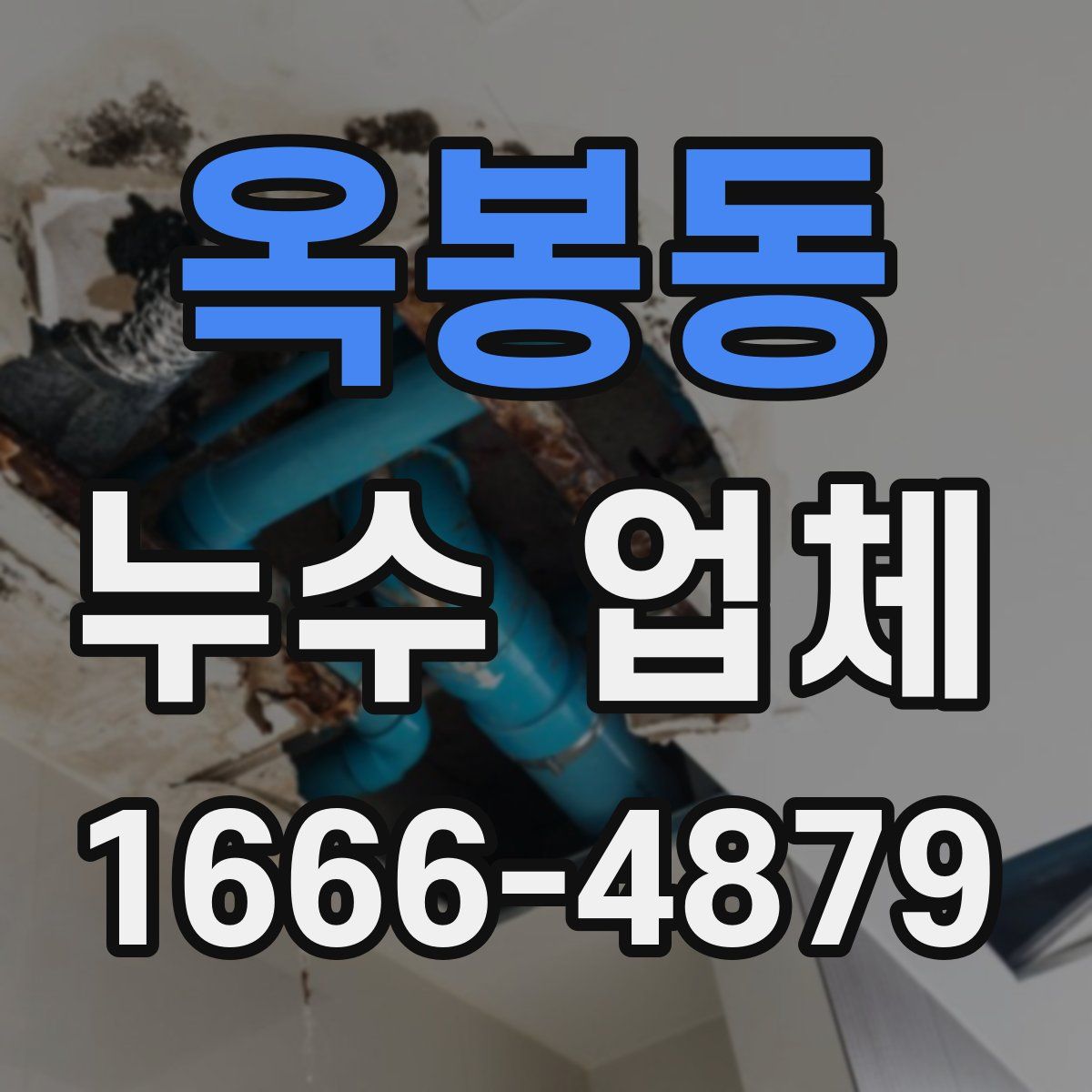 옥봉동 누수 업체