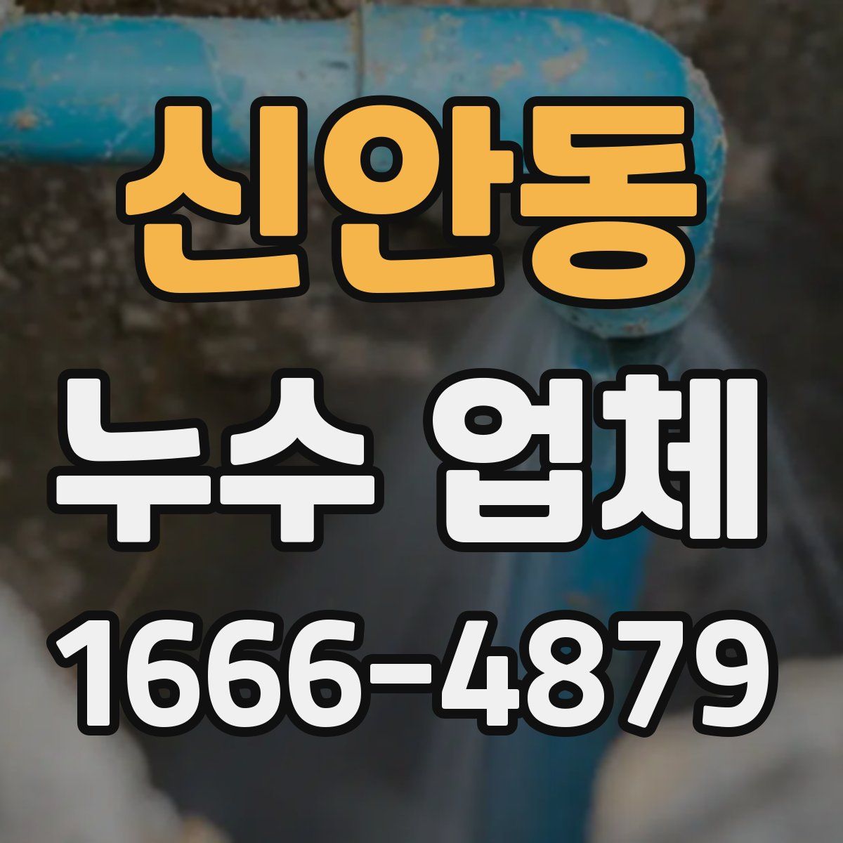 신안동 누수 업체