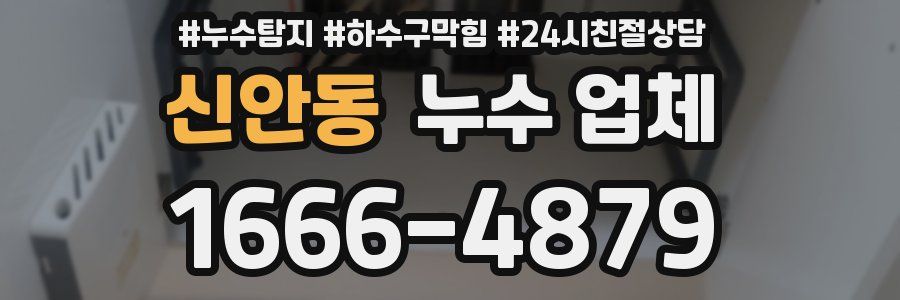 신안동 누수 업체