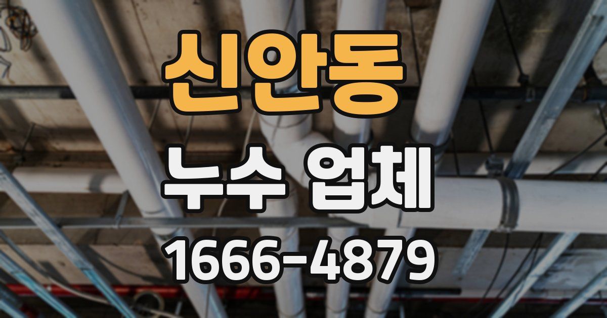 신안동 누수 업체