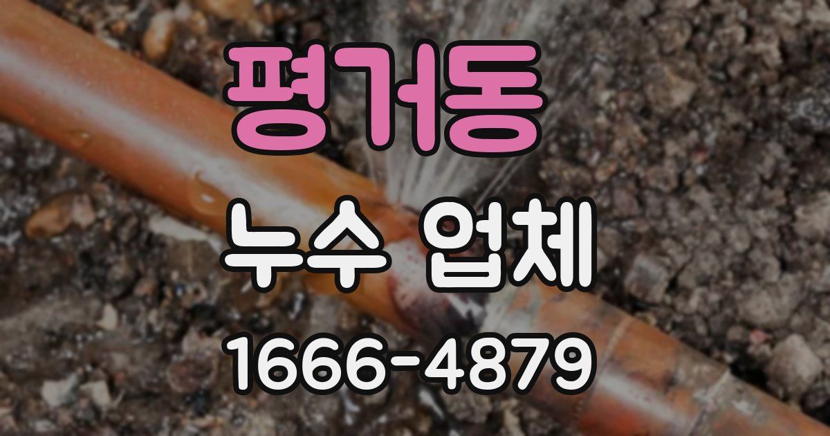 평거동 누수 업체