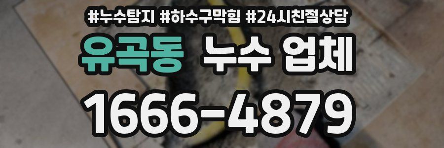 유곡동 누수 업체