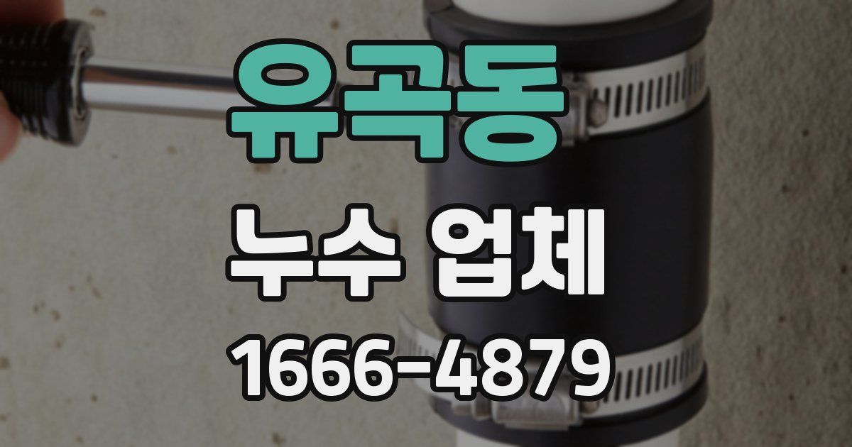 유곡동 누수 업체
