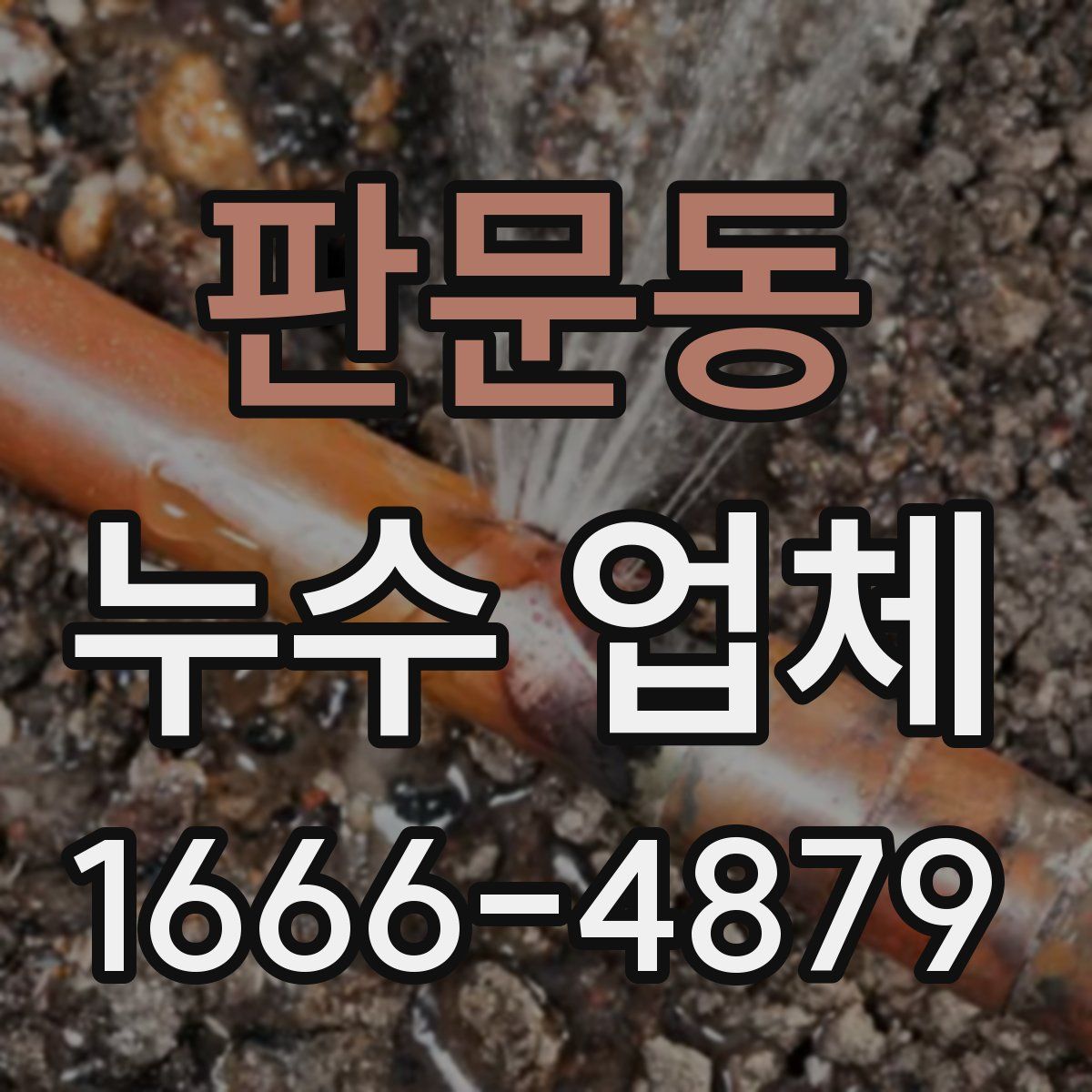 판문동 누수 업체