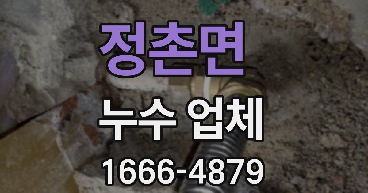 정촌면 누수 업체