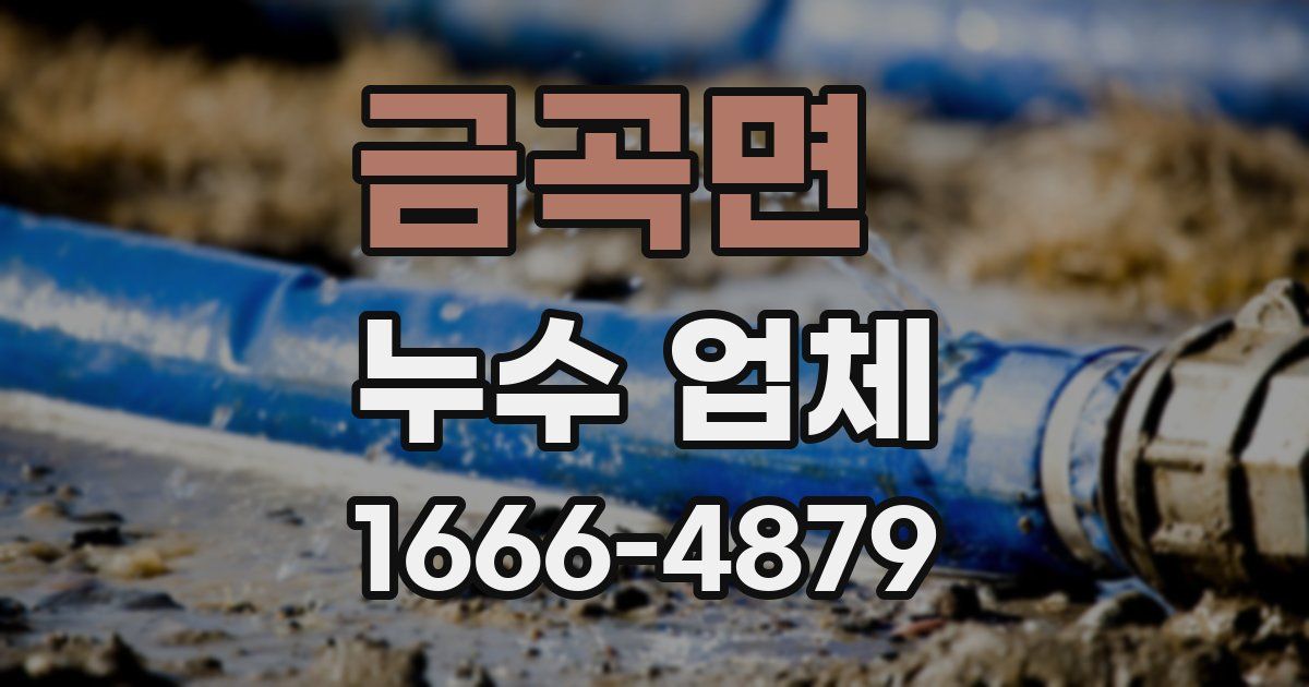 금곡면 누수 업체