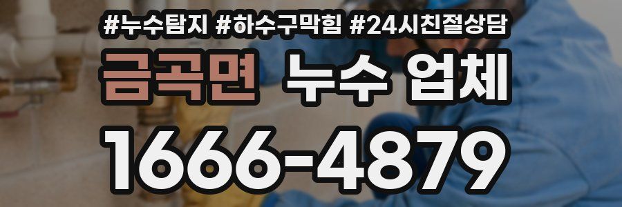 금곡면 누수 업체