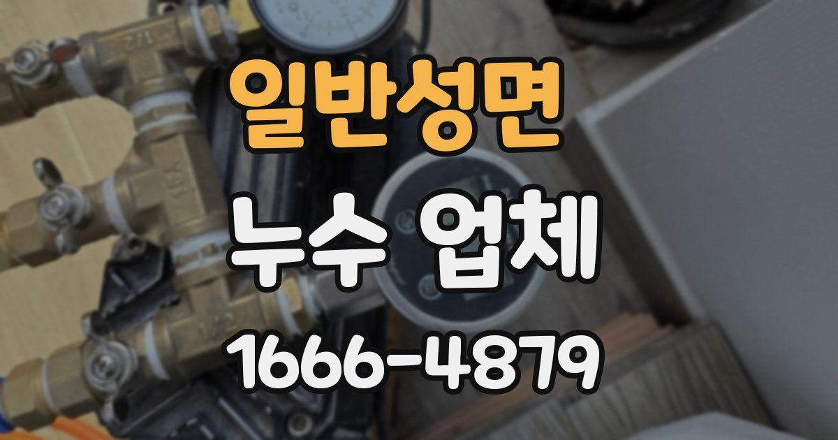 일반성면 누수 업체