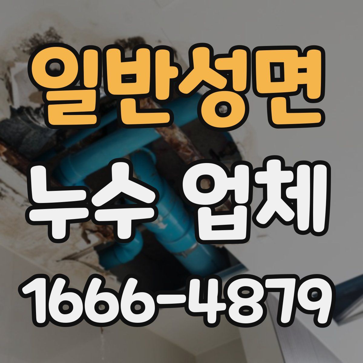 일반성면 누수 업체