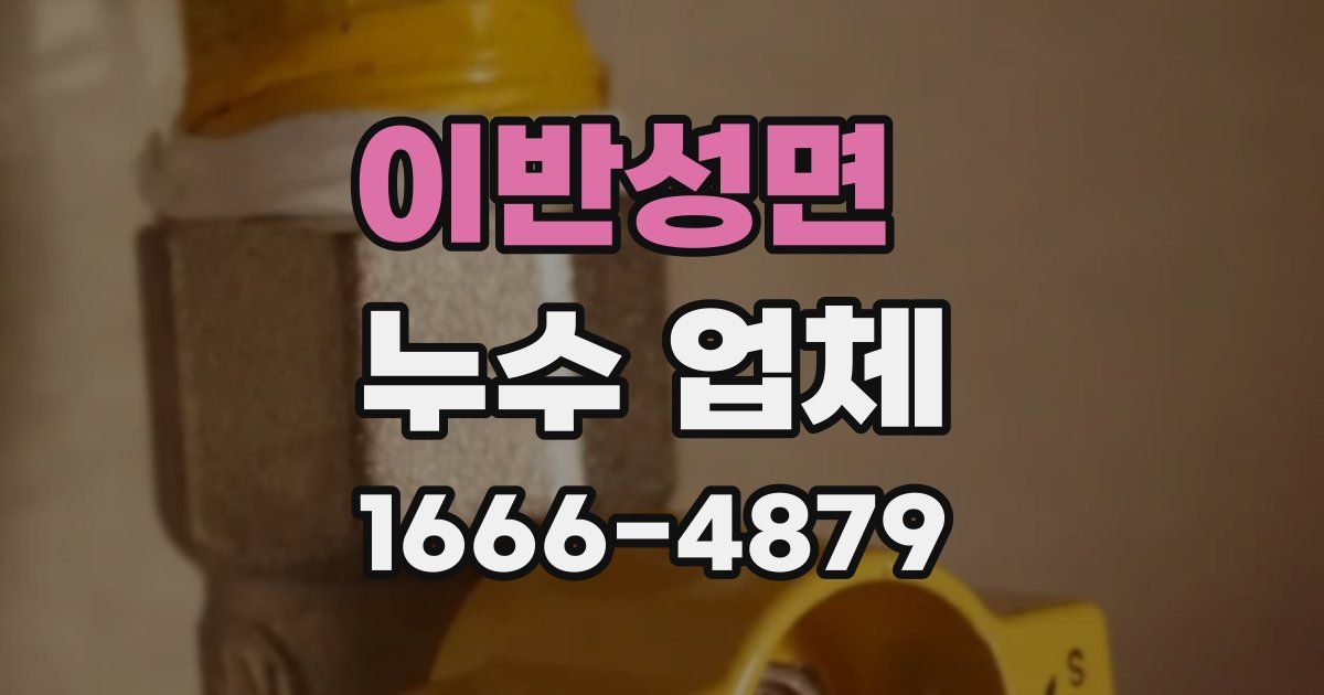 이반성면 누수 업체