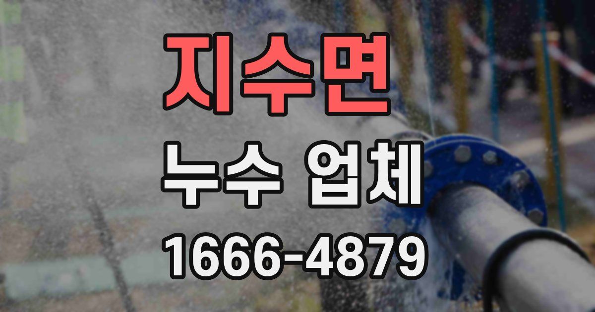 지수면 누수 업체