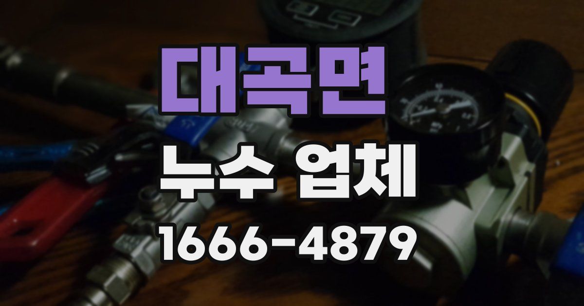 대곡면 누수 업체