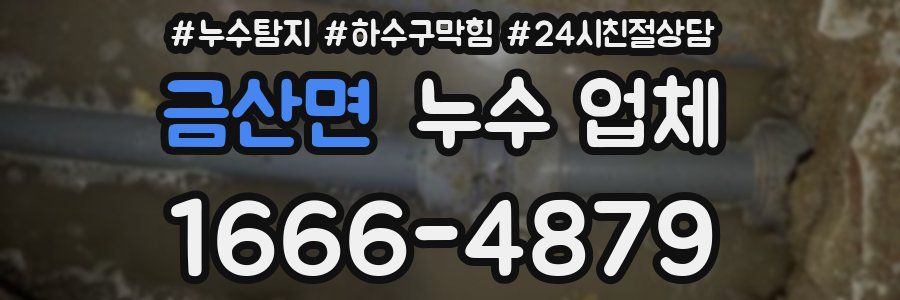 금산면 누수 업체